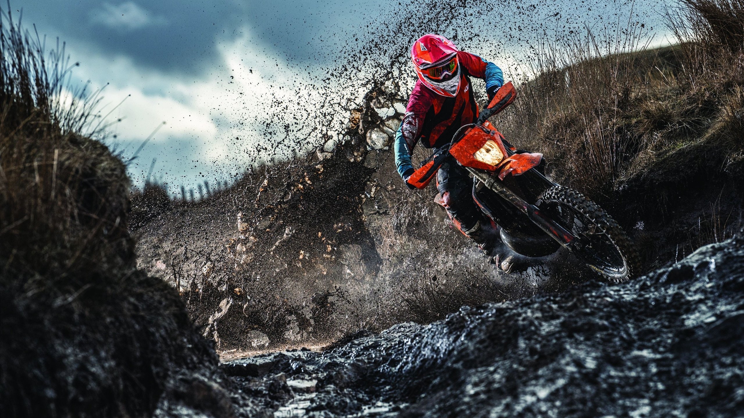 巴西马术协会与大学合作，开展马术运动营养研究，优化饮食方案。